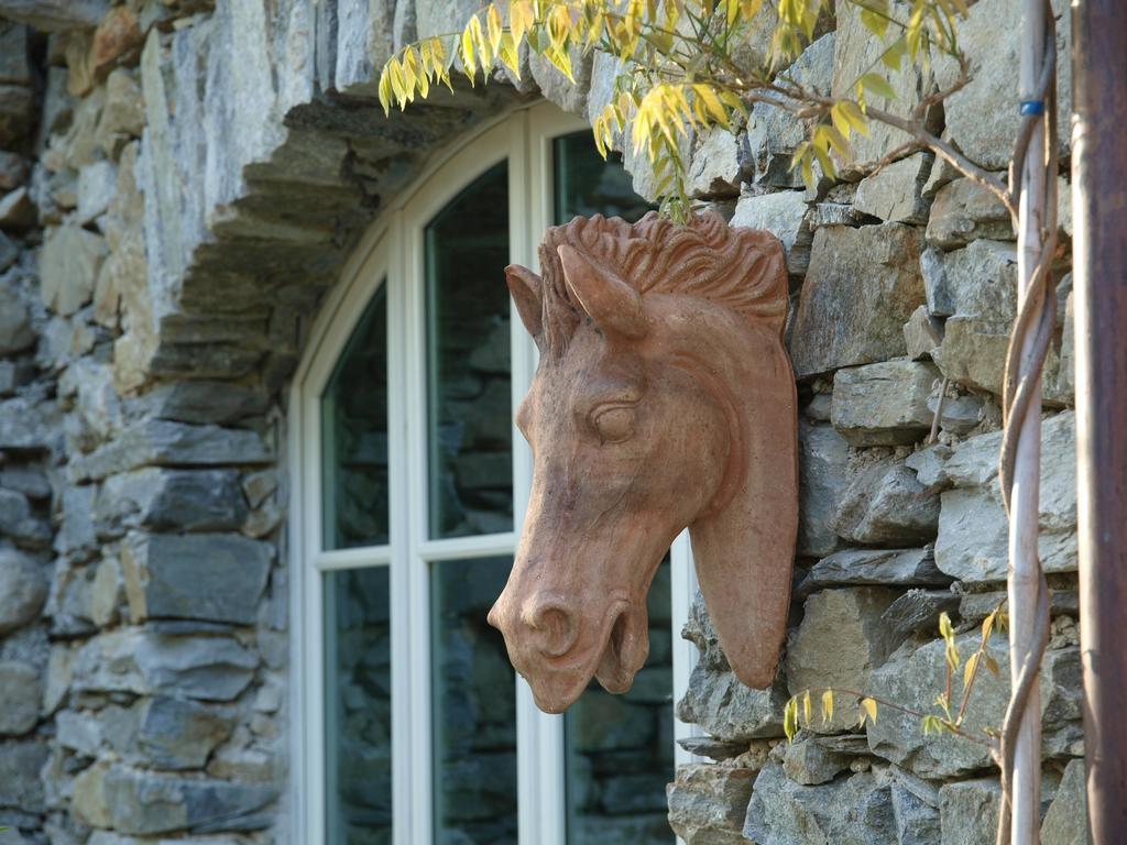 Park Hotel Villa Belvedere Cannobio Dış mekan fotoğraf