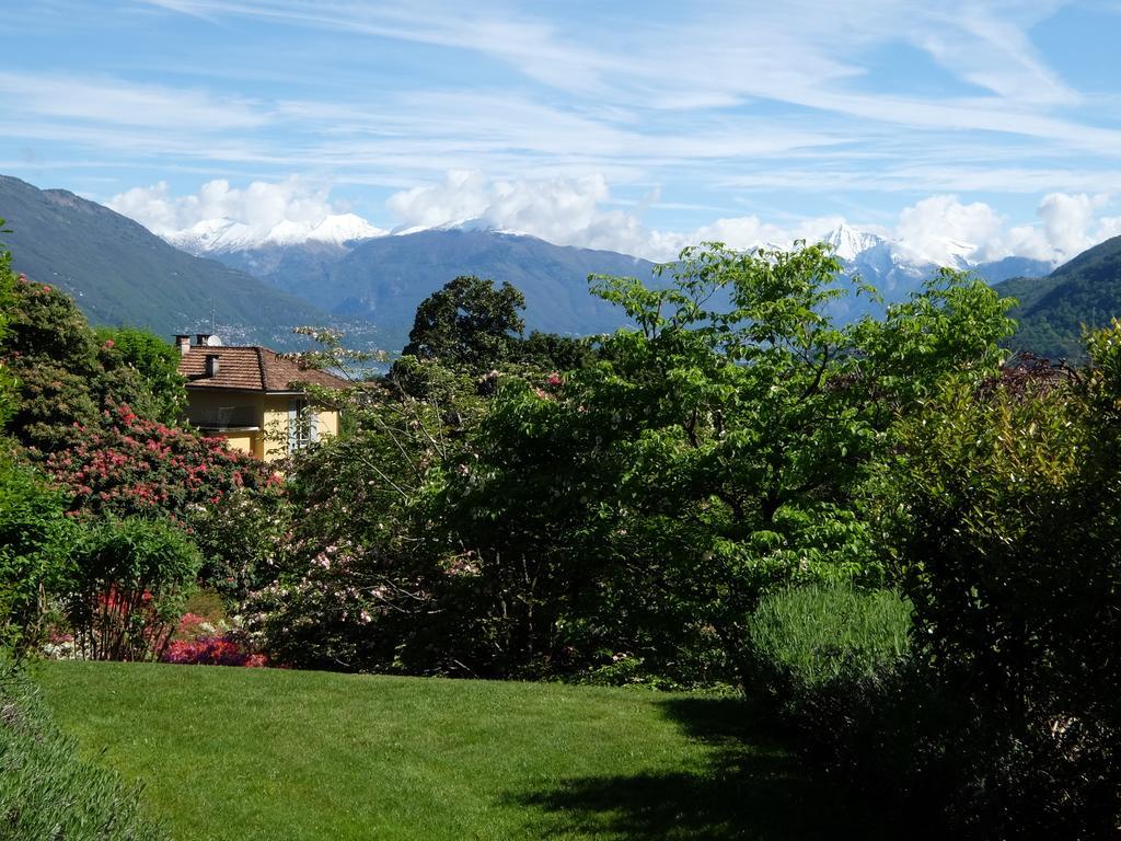 Park Hotel Villa Belvedere Cannobio Dış mekan fotoğraf