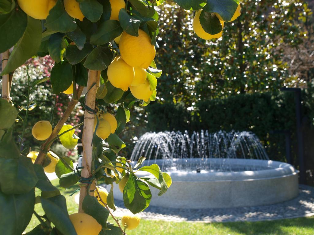 Park Hotel Villa Belvedere Cannobio Dış mekan fotoğraf