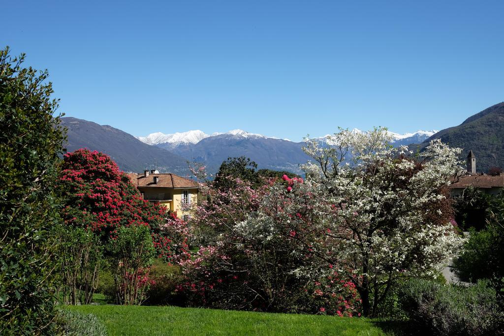 Park Hotel Villa Belvedere Cannobio Dış mekan fotoğraf